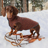 Warm Handmade Wool Dog Sweater, Canine Cardigans, FITS 15-25 Pounds Repurposed Dog Clothes