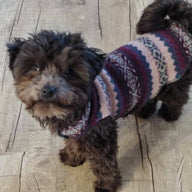 Santa Dog Sweater - Warm Dog Clothes - FITS 12 - 18 Pounds - Canine Cardigans