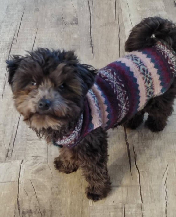 Santa Dog Sweater - Warm Dog Clothes - FITS 12 - 18 Pounds - Canine Cardigans