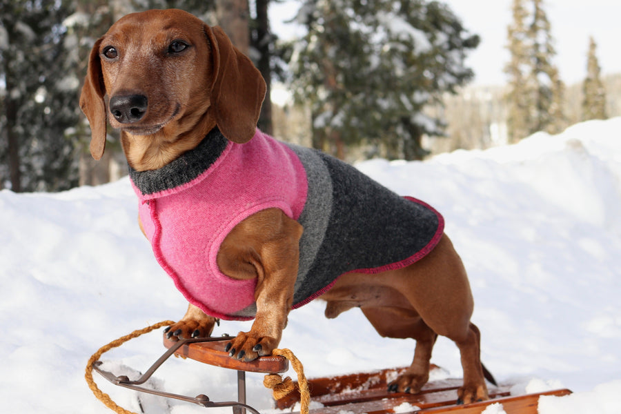 G. Dog Sweaters 8-13 LBS