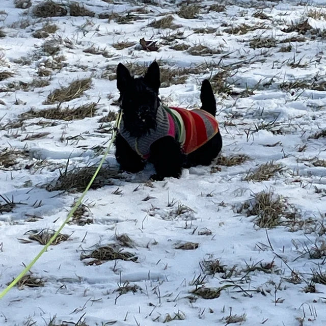 J. Dog Sweater 12-18 LBS LONG