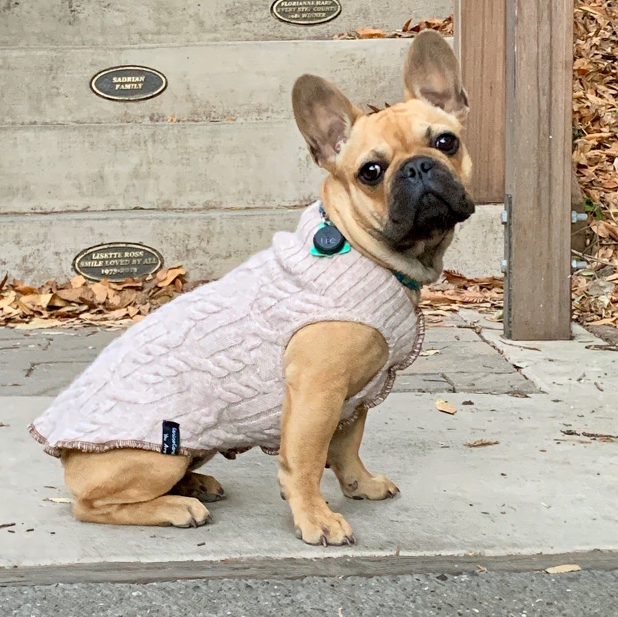I. Dog Sweaters 12-18 LBS