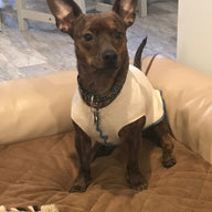 Gift For Dog, Sweater for Puppy, Warm Dog Coat, FITS 2-5 Pounds - Canine Cardigans