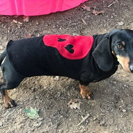 Hand Made Little Dog Sweater - Small Dog Shirt - FITS 6-10 Pounds - Canine Cardigans