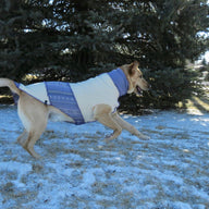 Gift For Dog, Sweater for Puppy, Warm Dog Coat, FITS 2-5 Pounds - Canine Cardigans