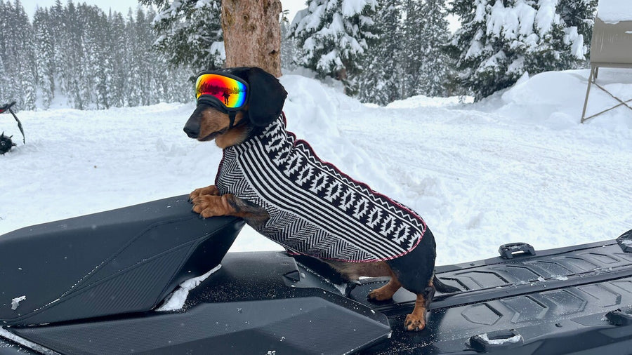 Fancy Handmade Dog Sweater, Canine Cardigans, FITS 15-25 Pounds LONG Repurposed Dog Clothes
