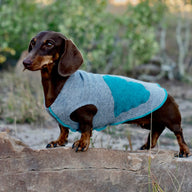Hand Made Wool Dog Sweater, Little Dog Coat, FITS 1-3 Pounds,  Canine Cardigans