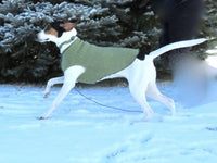 FITS 80 - 1-- POUND Dog Warm Dog Sweater for Big Dog, XL Dog Coat,  Canine Cardigans