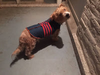 Cashmere Dog Sweater, Fancy Dog Coat, Dog Jacket,  FITS 35-55 Pounds -  Repurposed Petwear - Canine Cardigans