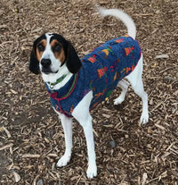 Fancy Handmade Dog Sweater, Canine Cardigans, FITS 15-25 Pounds LONG Repurposed Dog Clothes