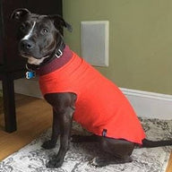 FITS 125 - 150 Pound DOG - Giant Dog Sweater Warm Handmade Merino Wool Dog Sweater, Canine Cardigans,  Repurposed Dog Clothes