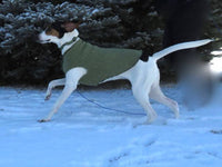 Soft Dog Sweater - Warm Dog Coat - Canine Cardigans - FITS 2-5 Pounds - Repuposed - Upcycled