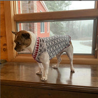 Hand Made Little Dog Sweater - Small Dog Shirt - FITS 6-10 Pounds - Canine Cardigans