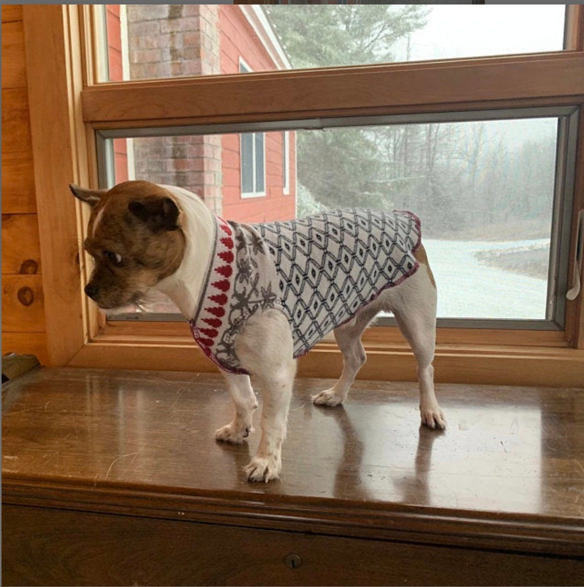 Hand Made Little Dog Sweater - Small Dog Shirt - FITS 6-10 Pounds - Canine Cardigans