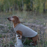 Hand Made Wool Dog Sweater, Little Dog Coat, FITS 1-3 Pounds,  Canine Cardigans