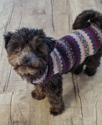 Dog Sweater - Warm Dog Clothes - FITS 15-25 Pounds - Canine Cardigans