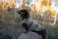 Black and Red Dog Sweater - Jumper for Dog Friend - Dog Shirt - FITS 12-18 Pounds Long -   Canine Cardigans