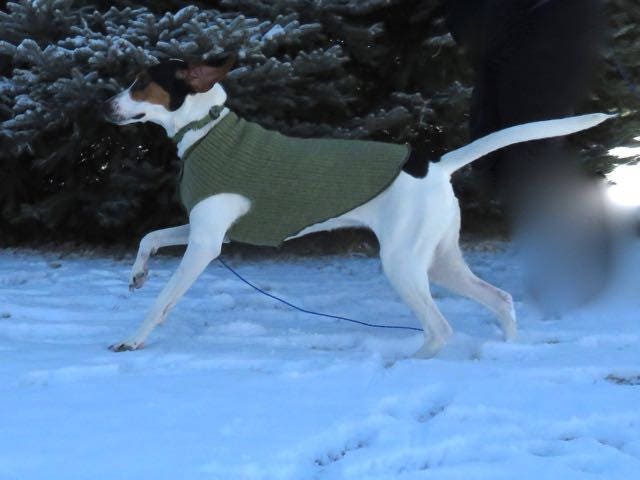 FITS 15-25 pounds Handmade Dog Sweater - Warm Dog Coat - Canine Cardigans - Repuposed - Upcycled
