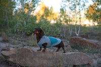 Pretty Green Small Dog Sweater, TEACUP Upcycled Dog Clothes, Canine Cardigans