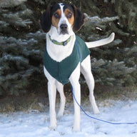 FITS 15-25 pounds Handmade Dog Sweater - Warm Dog Coat - Canine Cardigans - Repuposed - Upcycled