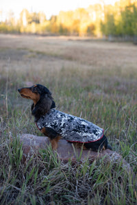 Tiny Puppy RED Repurposed Soft Wool  Dog Coat - Little Dog Shirt - FITS 2-5 Pounds - Canine Cardigans