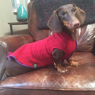 Hand Made Dog Clothes from Repurposed Sweater Dog Shirt - Little Dog Sweater - FITS 6-10 Pounds LONG - Canine Cardigans