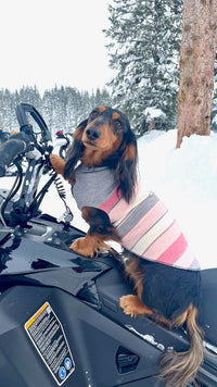 Warm Handmade Cashmere Dog Sweater, Canine Cardigans, FITS 12-18 Pounds Repurposed Dog Clothes