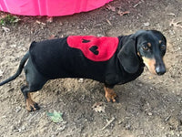 Hand Made Repurposed Dog Shirt Sweater - Small Dog Clothes - FITS 4 - 6 Pounds  - Canine Cardigans