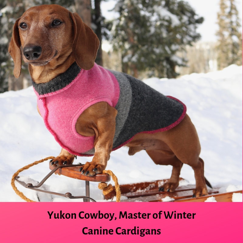 Handmade Dog Sweater, Little Dog Coat, FITS 6 - 10 Pounds - Canine Cardigans