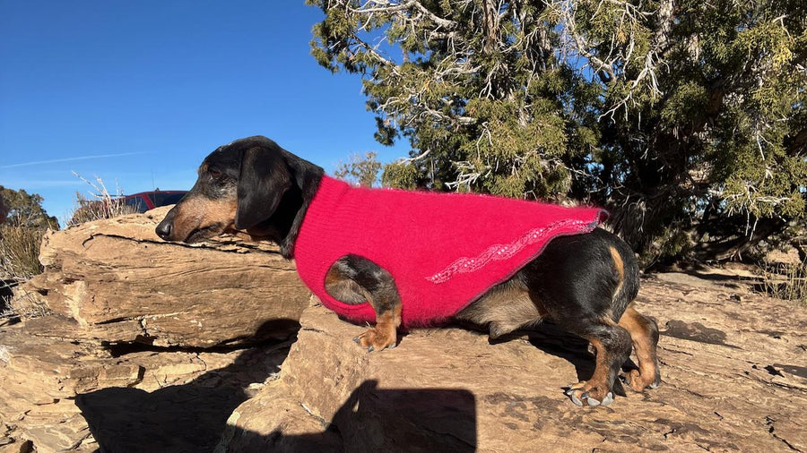 Pink Angora Super Soft Dog Sweater - Warm Dog Shirt  - FITS 8-13 Pounds LONG - Canine Cardigans