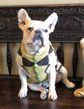 Beautiful Handmade Dog Sweater - Wool Dog Coat - FITS 8-13  Pounds - REPURPOSED - Upcycled -  Canine Cardigans