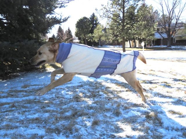 FITS 100-125 Pound Dog Great Dane - Hand Made Pink and Purple XL Wool Dog Sweater -   Dog Coat - Canine Cardigans