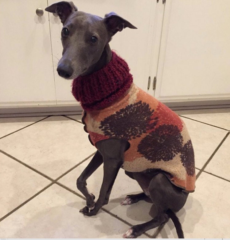 Hand Made Dog Clothes from Repurposed Sweater Dog Shirt - Little Dog Sweater - FITS 6-10 Pounds LONG - Canine Cardigans