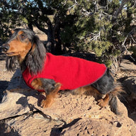 FITS 6-10 Pounds - REPURPOSED Cashmere Dog Shirt - Small Dog Clothes -Canine Cardigans