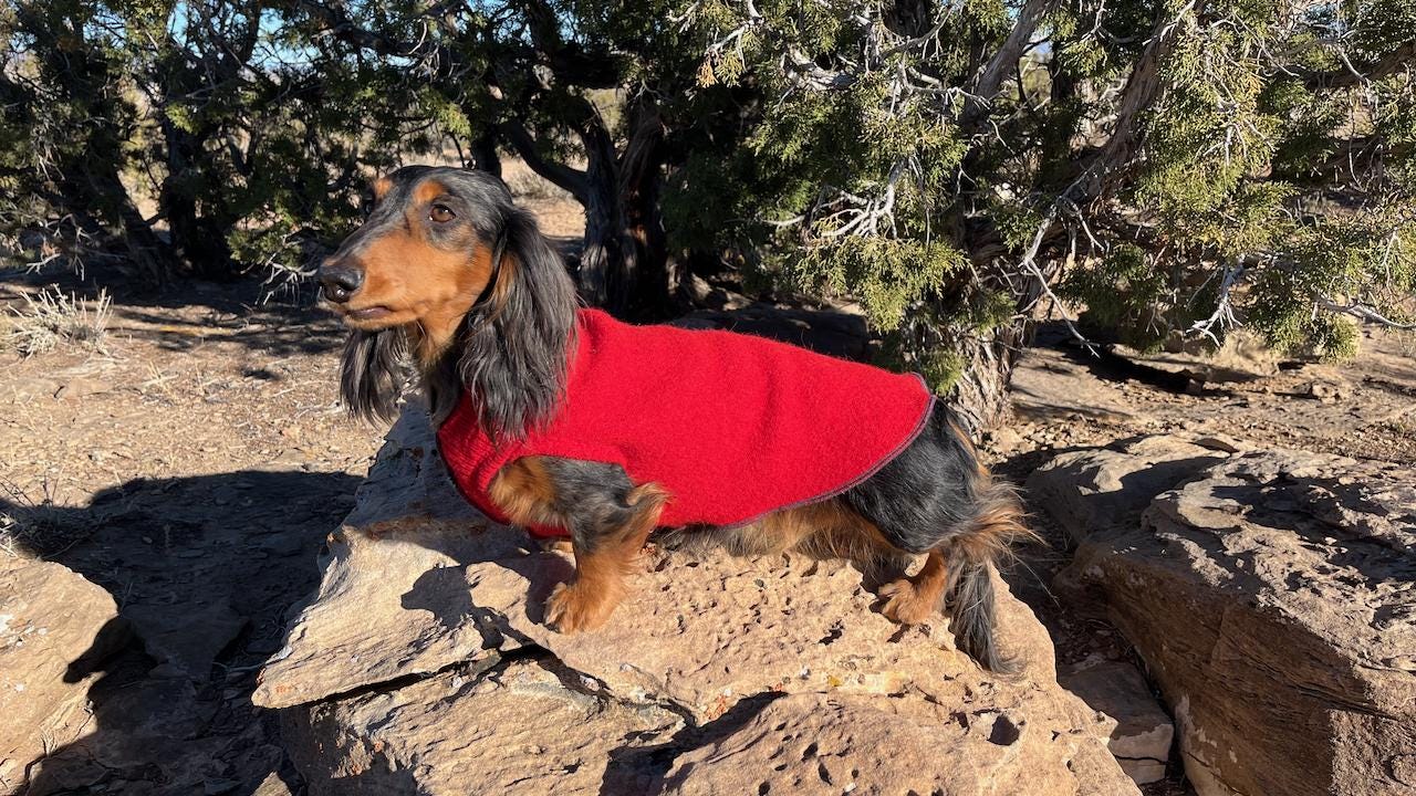 FITS 6-10 Pounds - REPURPOSED Cashmere Dog Shirt - Small Dog Clothes -Canine Cardigans