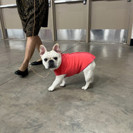 FITS 8 - 13 Pound Dog, Warm Merino Wool Pet Sweater  -  Canine Cardigans