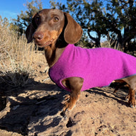 FITS 8 - 13 Pound Dog, Cashmere Pet Sweater  - Skull Day of the Dead - Canine Cardigans