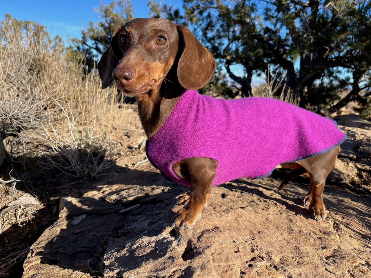 FITS 8 - 13 Pound Dog, Cashmere Pet Sweater  - Skull Day of the Dead - Canine Cardigans