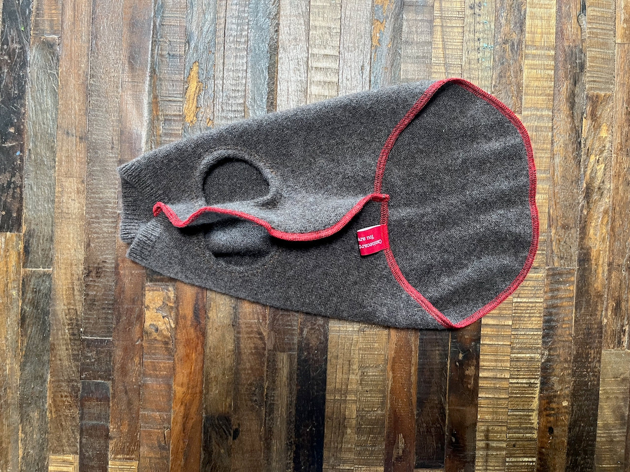 Cute Little Dog Sweater that fits 8 - 13 pounds, repurposed Dog Coat -  Canine Cardigans