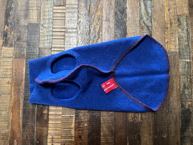 Tiny Dog Sweater, Fits 2-5 Pounds Handmade from Repurposed Merino Wool