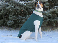 FITS 50 - 60 POUND Dog  Handmade Dog Sweater Large - Cashmere Dog Sweater - Canine Cardigans