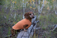 Hand Made Burgundy Warm Wool Dog Coat - Little Dog Shirt - FITS 1-3 Pounds - Canine Cardigans