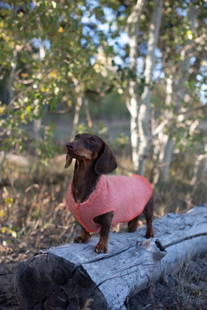 Handmade Handmade Wool Dog Shirt - Little Dog Sweater - FITS 1-3 Pounds - Canine Cardigans