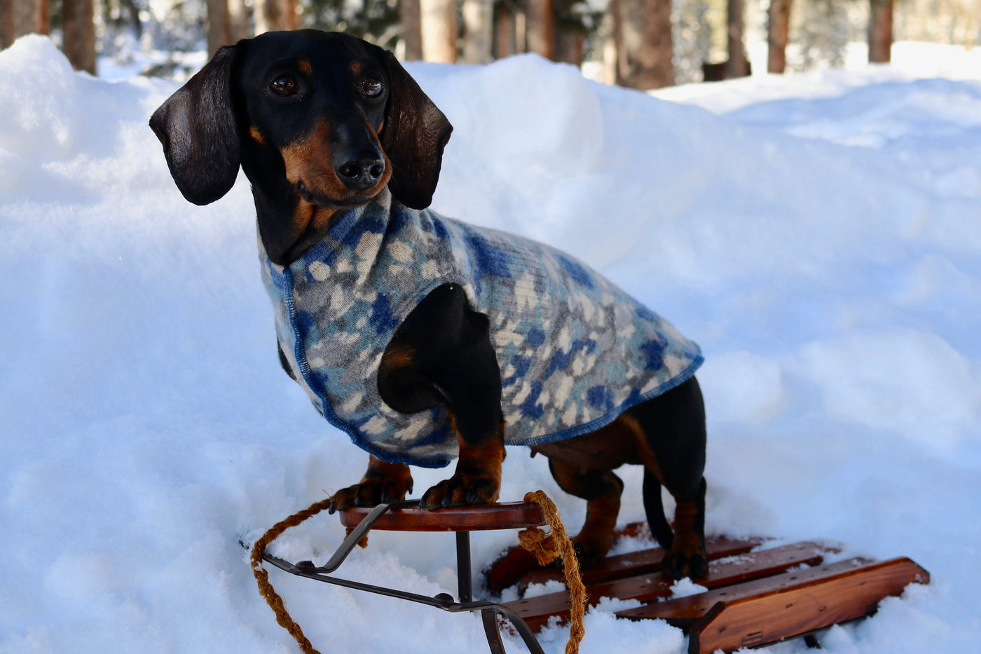 FITS 4 - 6 Pounds LONG - Hand Made from Repurposed Sweater Dog Shirt - Little Dog Sweater  - Canine Cardigans