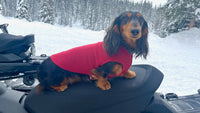 Handmade Beautiful Dog Sweater - Warm Dog Coat - FITS 15 - 25  Pounds - Canine Cardigans