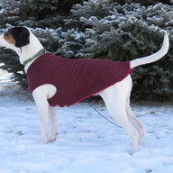 Hand made Dog Sweater -  Dog Shirt - FITS 4 - 6 Pounds  - Dachshund - Terrier Coat -  Canine Cardigans