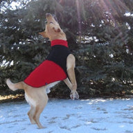 FITS 35 - 55 Pounds Dog Sweater - Repurposed Wool Dog Coat Canine Cardigans
