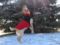 FITS 35 - 55 Pounds Dog Sweater - Repurposed Wool Dog Coat Canine Cardigans