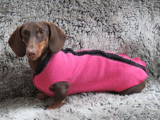Handmade Dog Sweater for little puppy Cashmere Tiny Dog Coat, Little Dog Shirt, FITS 1-3 Pounds  Canine Cardigans