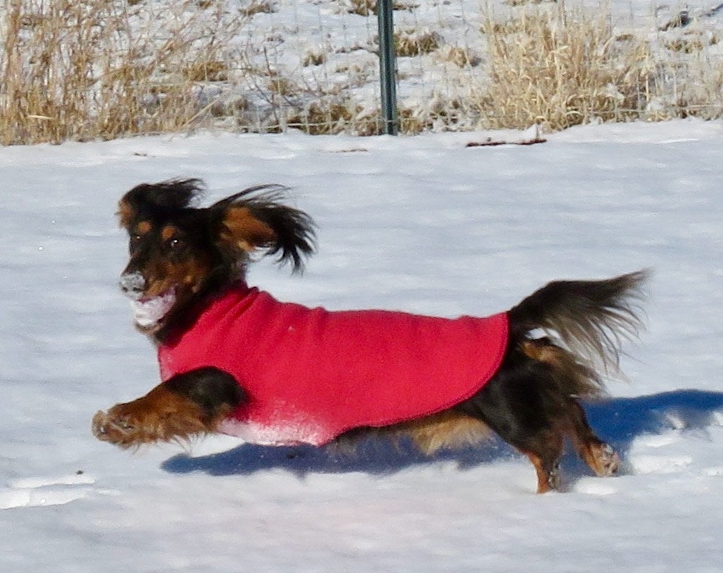 Handmade Wool Dog Sweater - Winter Dog Shirt - FITS 12-18 Pounds Long - Canine Cardigans